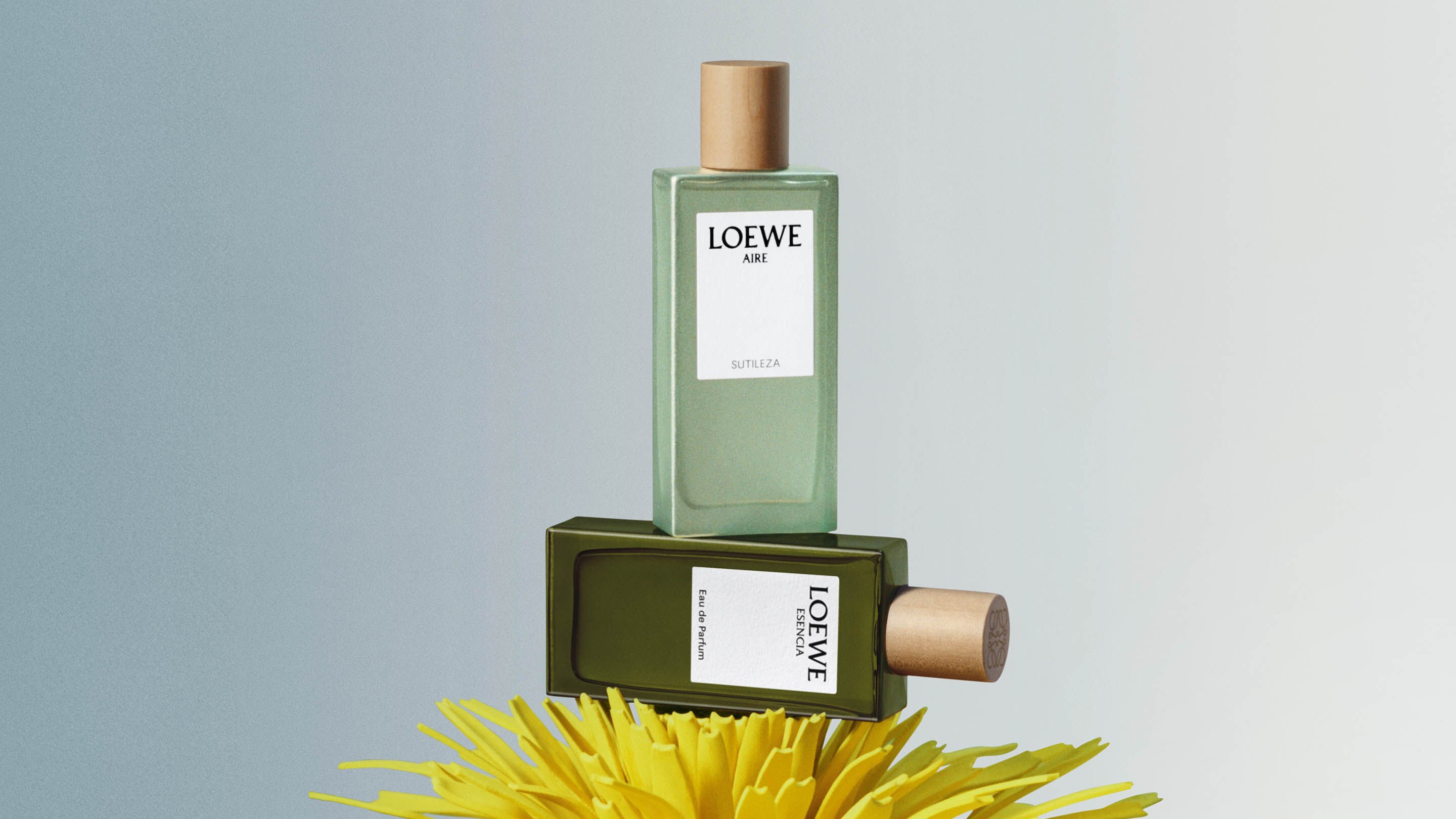 Loewe website top